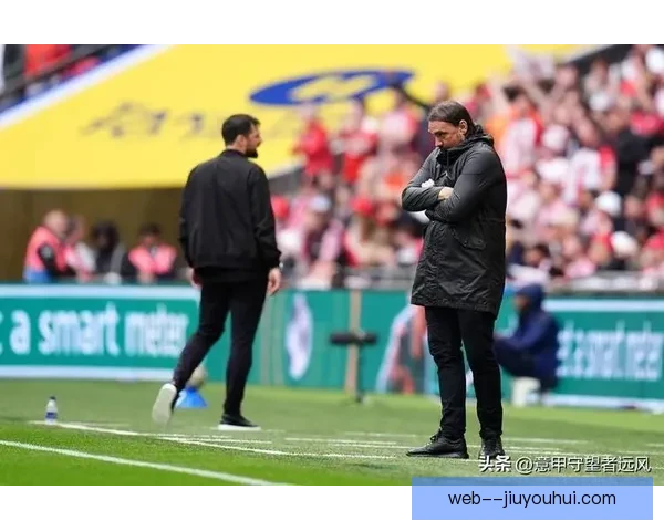 南安普顿附加赛力克利兹联成功晋级英超新赛季